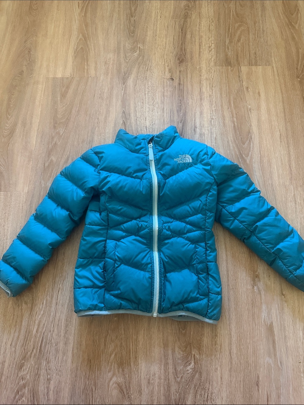 The North Face Girls' Teal Blue Jacket 550